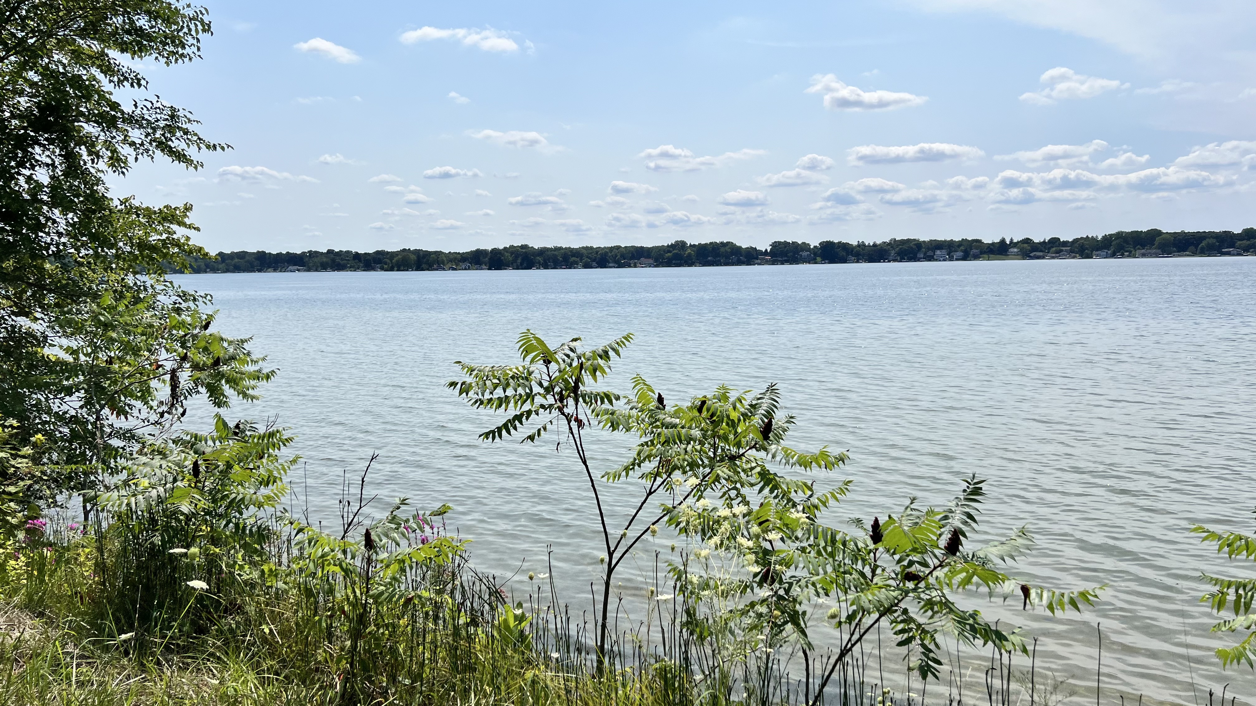 Lake View 6
